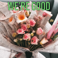 Were Good - Full Cover cover